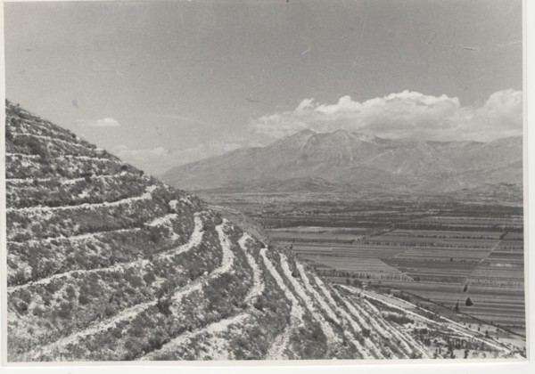 Luco dei Marsi reforestation