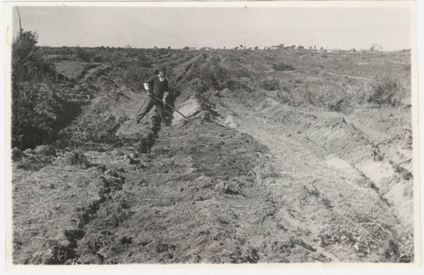 Reforestation works