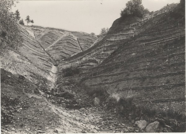 Land reclamation works