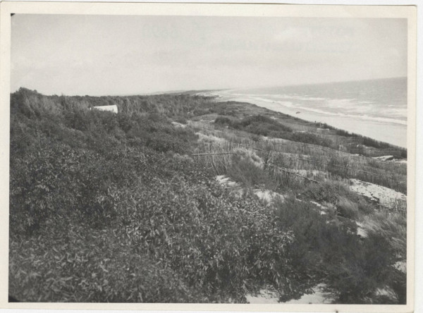 Dune fixation works. Siracusa, Sicily, Italy