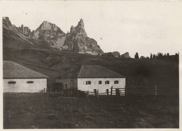 Alpine Pasture in Juribello, Passo Rolle, Italy,