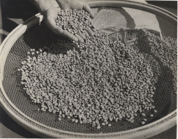 Coffee beans
