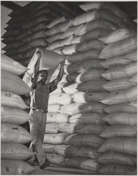 Coffee warehouse