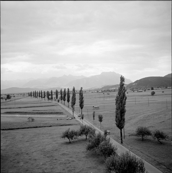 Rheintal near Altstatten, 1954.