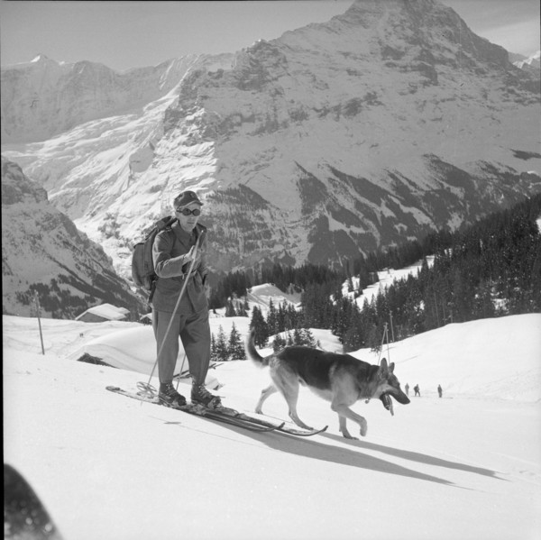 Soldier with avalanche dog, Grindelwald 1951.