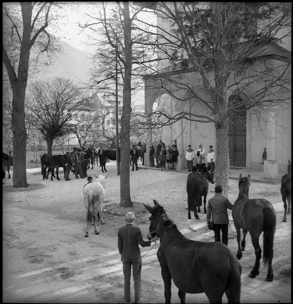 Blessing of the horses and mules in Valais village Turtmann, 1940.