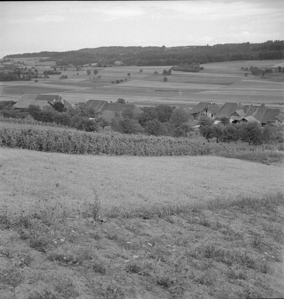 Champmartin; farming village.