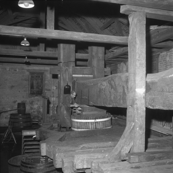 Historical wine press building in Baden, 1955.