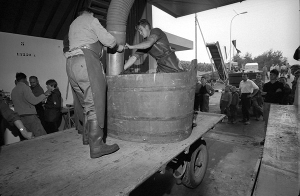 Vintage in Hallau, 1967.