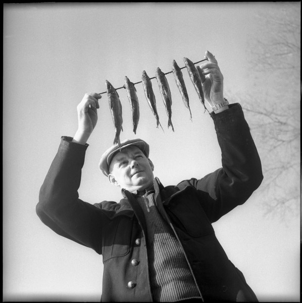 Smoking whitefish in Neuchatel 1956.