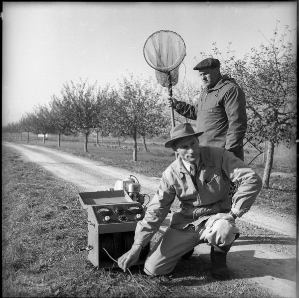 Electric fishing, new equipment of the Canton of Valais 1956.