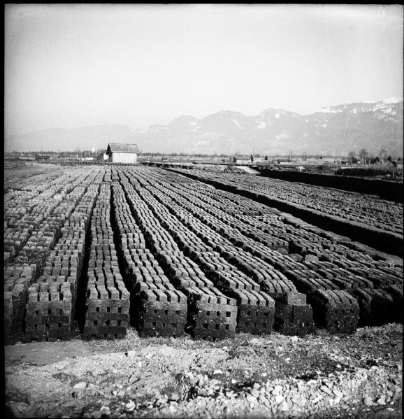 Peat  piled up, Rheintal 1949.