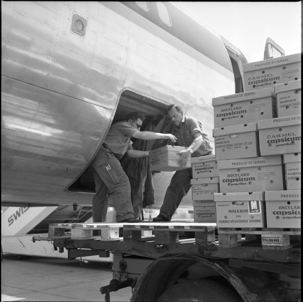 Fresh vegetables from Israel, airport Zurich-Kloten 1966.