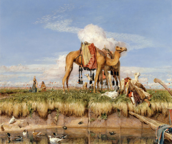 On the banks of the Nile