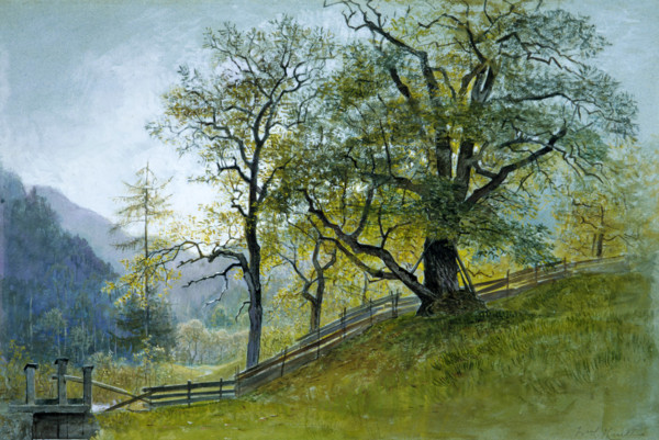 Vahrn in Tirol