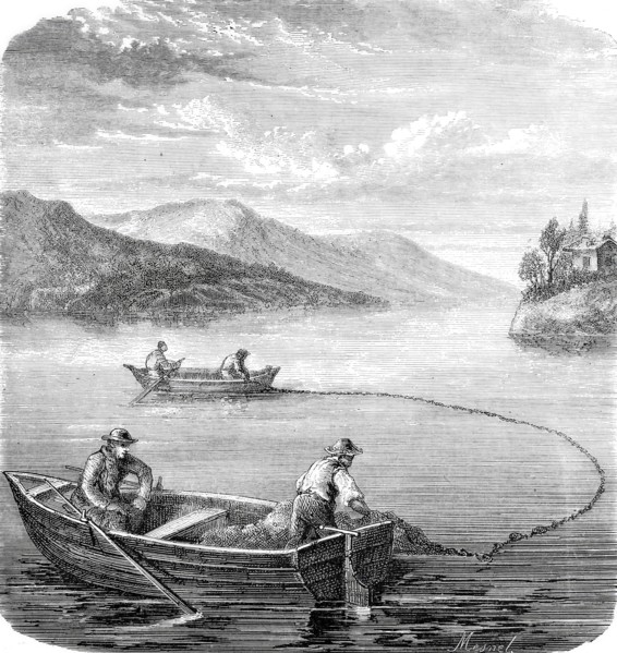 Fishermen on Lake Constance catching bluefish.