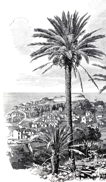 View of Funchal in 1890. Madeira. Portugal. Historical. authentic. digitally restored reproduction