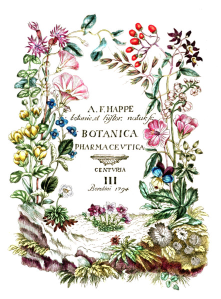 Cover of Botanica Pharmaceutica by Andreas Friedrich Happe