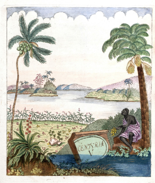 Cover of Botanica Pharmaceutica by Andreas Friedrich Happe