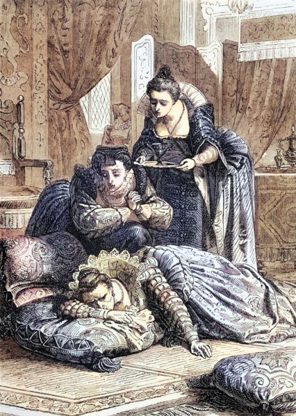 After the death of Catherine Howard. Countess of Nottingham. the niece of her cousin and close