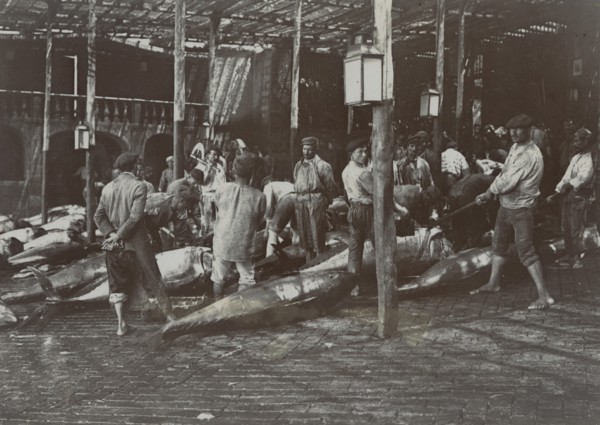 Tuna gutted after the Acireale slaughter