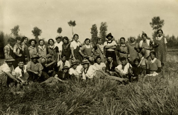 Stop during the harvest