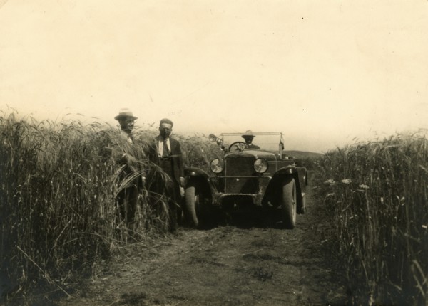 Loreto Farm in Irsina