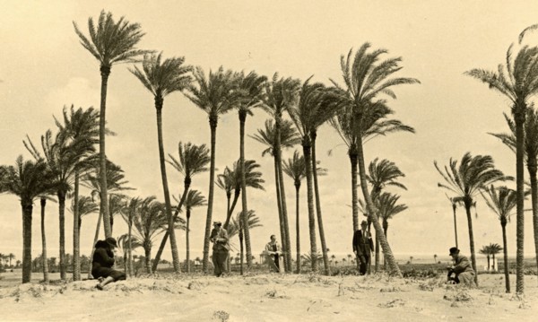 Touring Club members in Libya