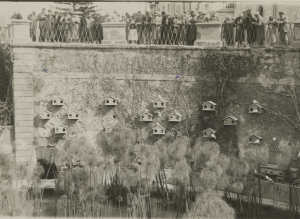 At the Fountain of Arethusa in Ortigia.  Syracuse. 
	
		1924