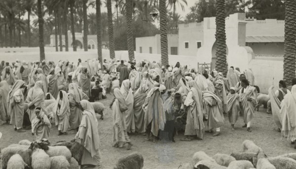 Libyan shepherds with their flocks. 1931