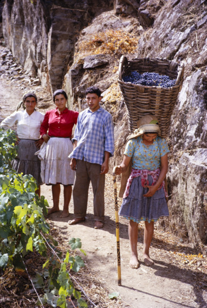 A series of images about port wine production in Portugal c 1960 - family group with young woman