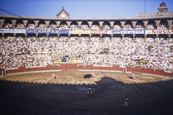 Inside Plaza de Toros Monumental de Barcelona bullring, bullfighting in progress, Barcelona,