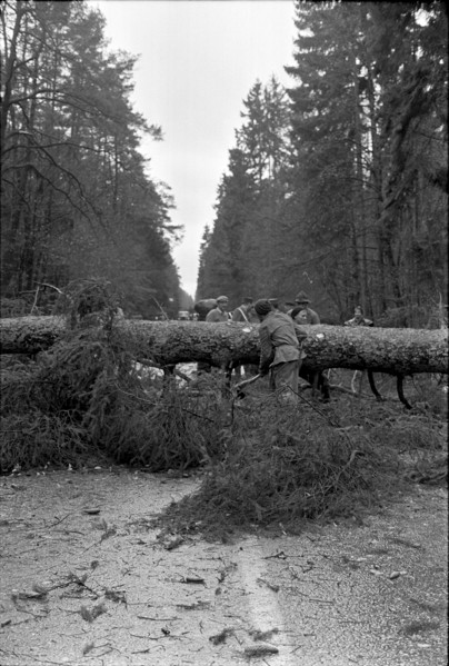 Storm damages in Bulach 1967