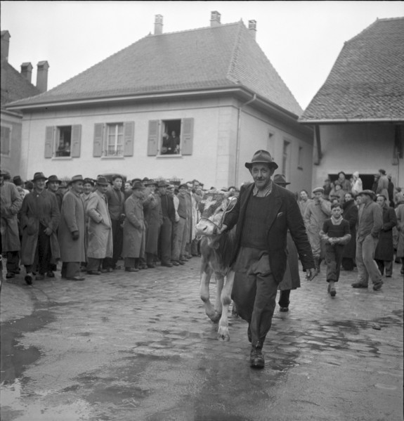 Farmers protest against penalisation of participants to the Milk Strike in the French speaking part