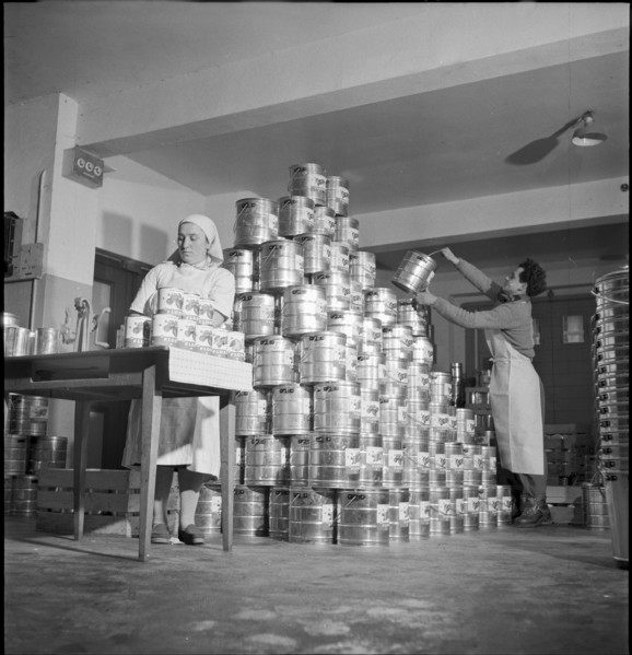 Saxon canning factory 1954