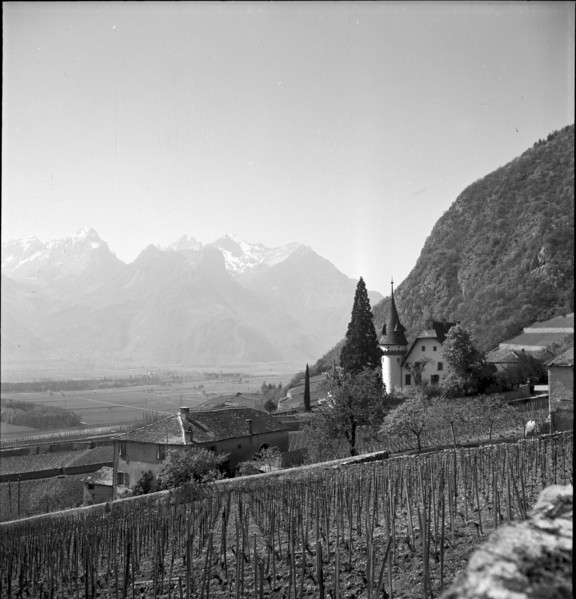 Yvorne 1946