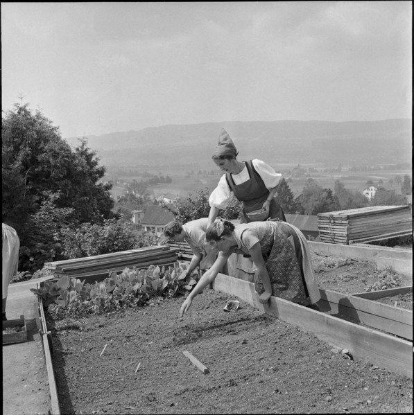 Gardening at school for household, Uster 1956