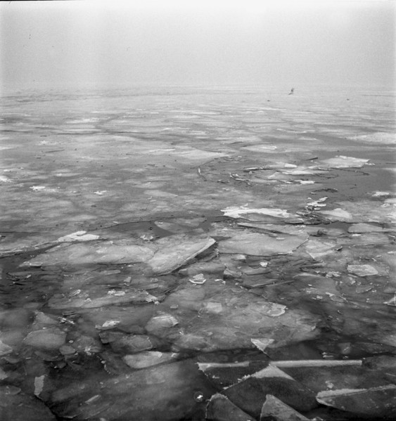 Ice floes on Lake Zurich 1941