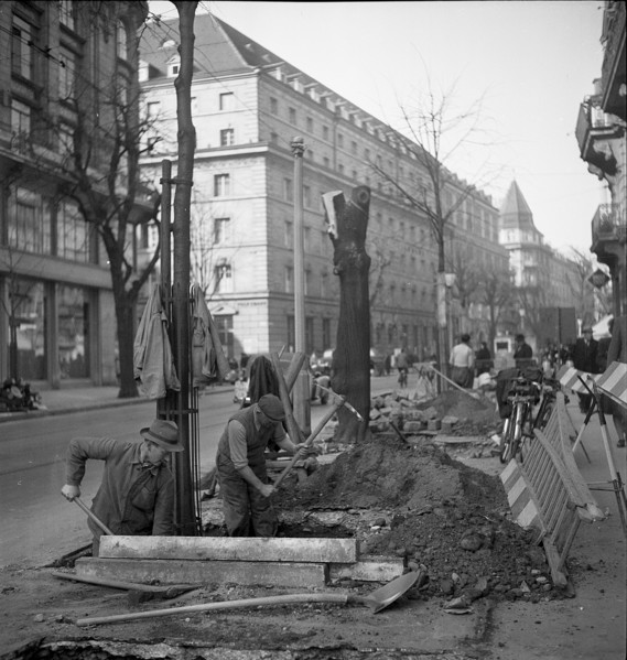 Replanting of the trees at the Bahnhofstrasse in Zurich 1948