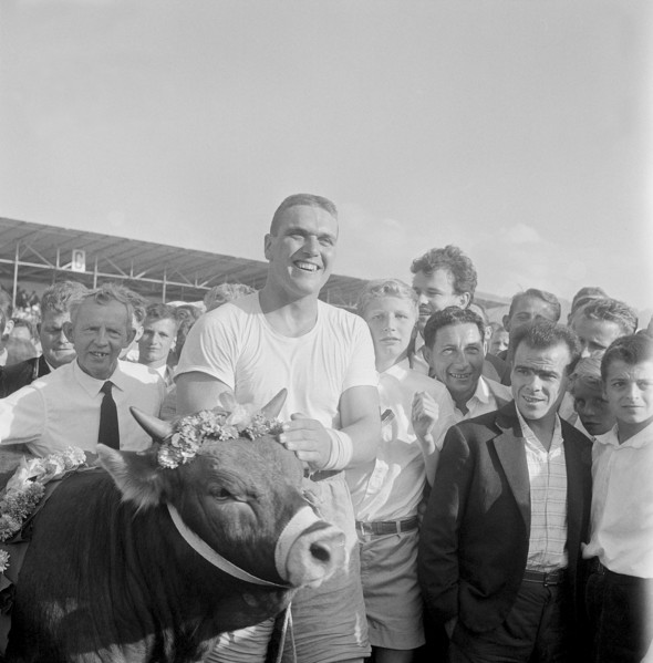 Swiss wrestling festival Zug 1961: champion Meli with bull