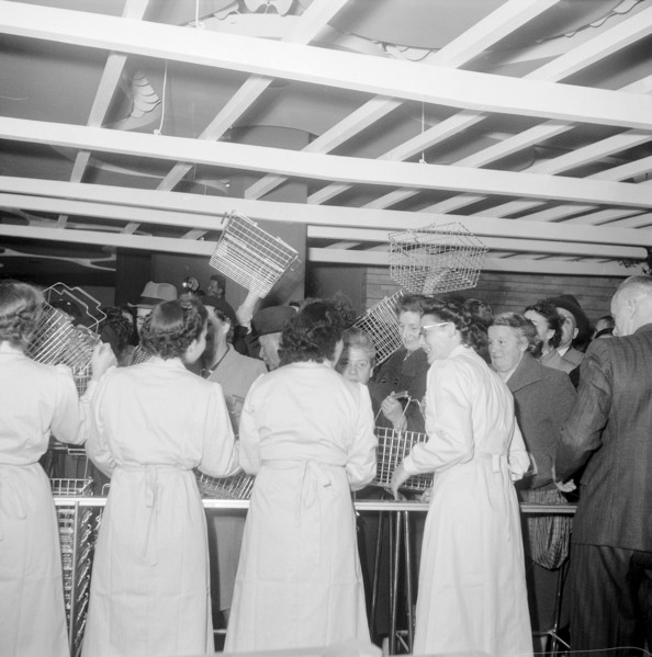Zurich, opening of the Migros branch at the Limmatplatz 1952: customers pushing