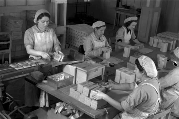 Workers packing up chocolate bars in chocolate factory Suchard in Serrieres, 1942