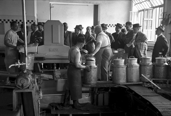 Workers in milk exploitation factory, 1944