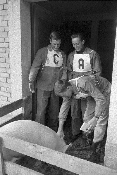 qualifying contest for youth cup of exhibition 64, Berne 1963
