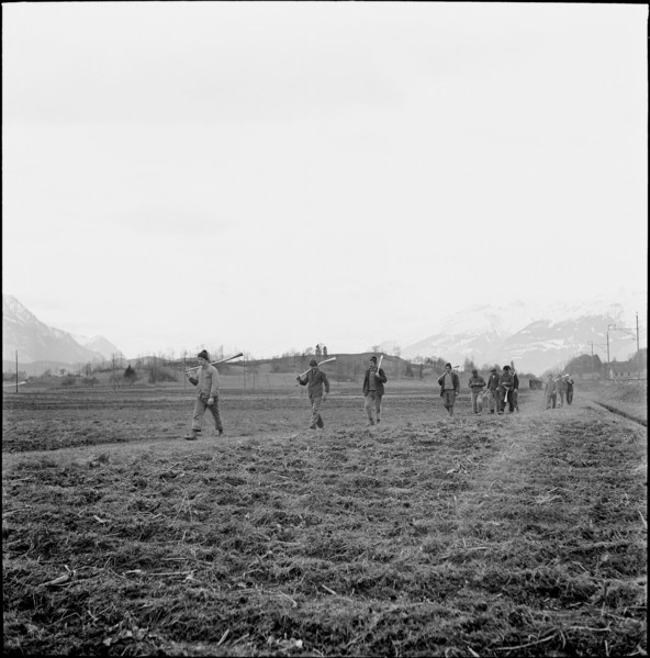 Plague of mice in Ruti, farmers on the way to distribute Surux rodenticide, around 1948