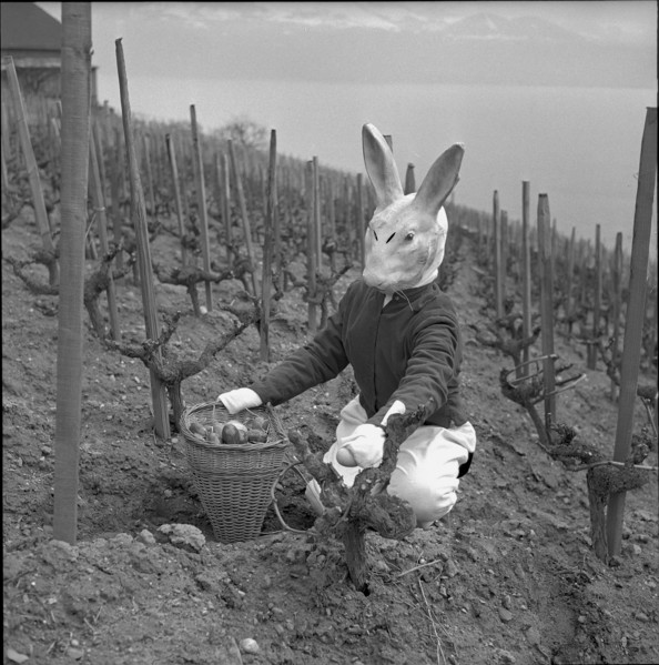 Visit of the Easter bunny in Grandvaux 1958