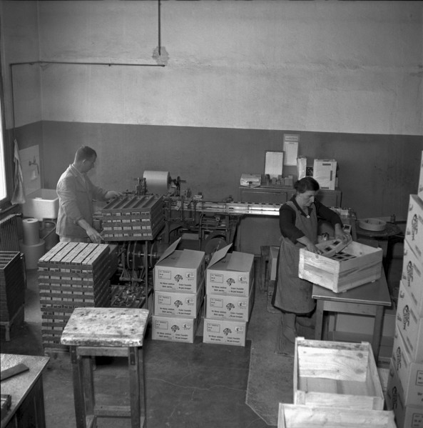 Forwarding department, Terza match factory, Unterterzen, 1952