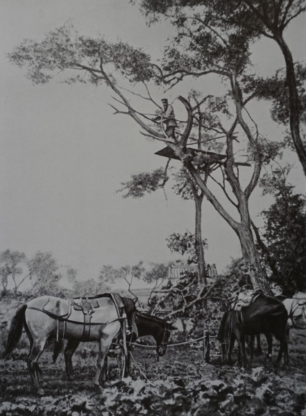 General Ivanov observes the battle at Liaoyang Photo by Gusev