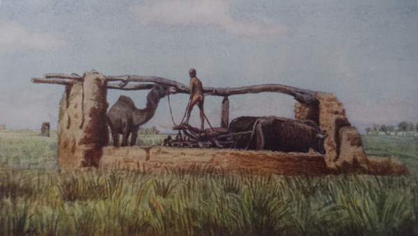 Theban Plain Illustration from the book ""In the Land of Amon-Ra Essays on Egypt"" Author AN Lvov