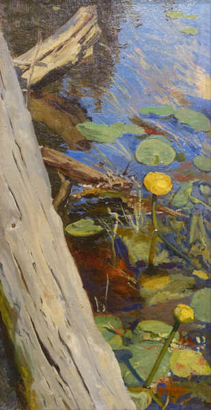 Water Lilies